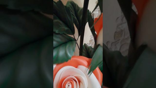 РОЗА - торшер, обзор. смотреть онлайн