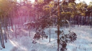 Парк 40летия ВЛКСМ. Ульяновск. Декабрь 2020