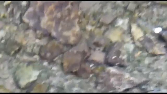 Двенадцать ключей, святой источник