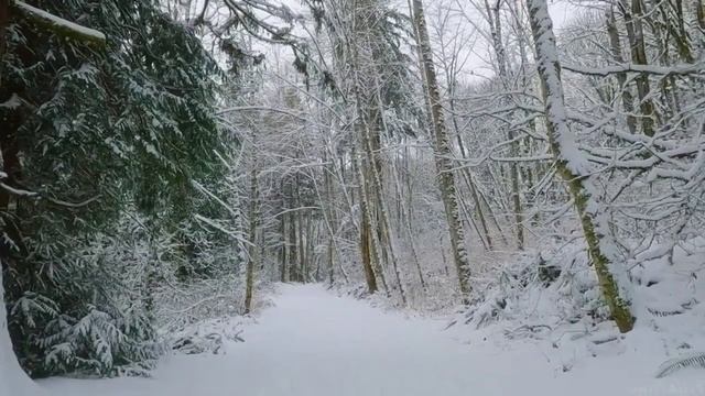 СРОЧНО НОВОСТИ / ЧТО ПРОИЗОШЛО