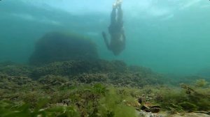 релакс подводный мир