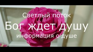 Как вы приближаете смерть Это изменит представление о душе!