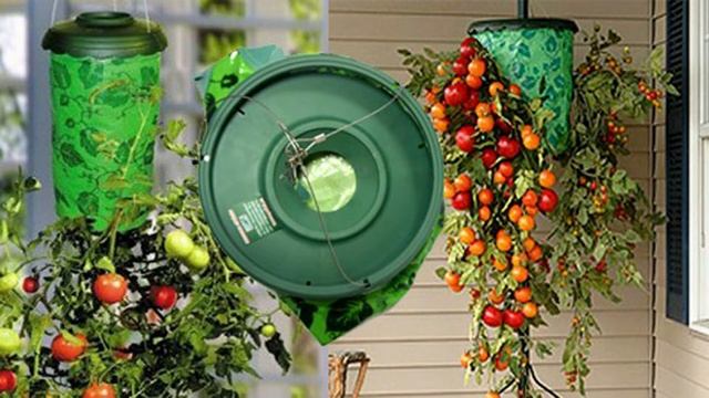 ?ПОДВЕСНАЯ ГРЯДКА ПЛАНТАЦИЯ.?Купить подвесную грядку плантацию со скидкой, цена отзывы