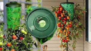 ?ПОДВЕСНАЯ ГРЯДКА ПЛАНТАЦИЯ.?Купить подвесную грядку плантацию со скидкой, цена отзывы