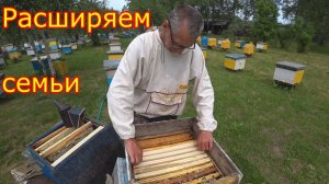 Расширяем семьи. Работы на пасеке 01.07. 2020  ГЛАВНЫЙ ВЗЯТОК