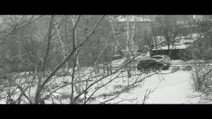 Стихотворение. Сергей Есенин - Я помню, любимая, помню