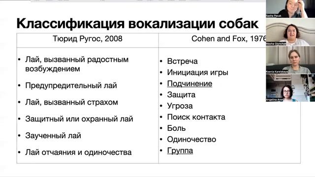 Встреча 4. Лай у домашних собак: этологический подход смотреть онлайн