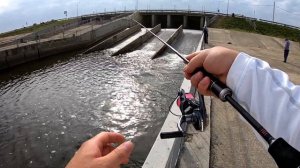 Активный окунь на микроджиг. На р.Кубань с GAMAKATSU LUXXE Yoihime EX s610ul-solid.RF