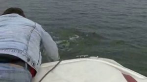 Стеклопластиковая лодка Касандра (UKSI)