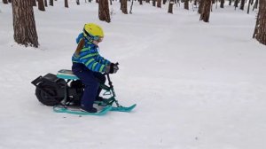 снегокат с двигателем от триммера