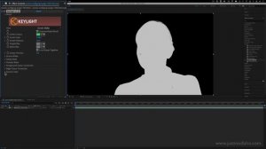 How to Remove Green Screen Video Background in Adobe After Effects CC