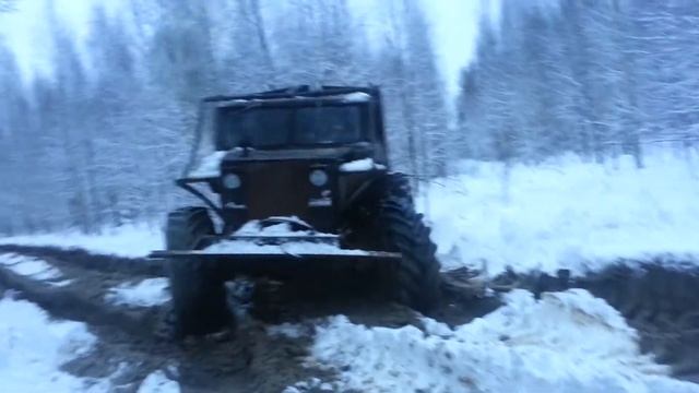 передвижения по лесу смотреть онлайн