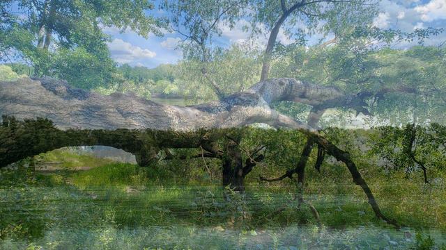 Пока вы сидите дома - Днестр в середине мая смотреть онлайн