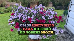 Обзор цветущего сада в первой половине июля.?