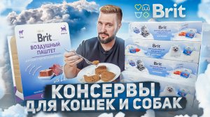 BRIT воздушный паштет для кошек и собак | В чем их секрет? | ОБЗОР