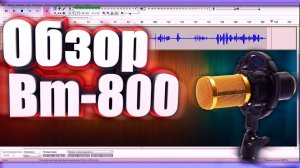 Обзор студийного микрофона BM-800+звуковая карта ,бюджетный, конденсаторный микрофона Bm 800