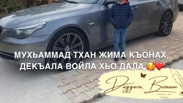 Дал декъал войла винчу денца