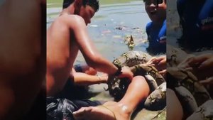 НАПАДЕНИЕ ОГРОМНОЙ ЗМЕИ НА ЧЕЛОВЕКА