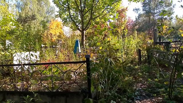 У папы на могиле смотреть онлайн