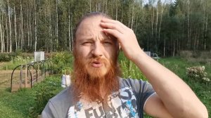 Ленивый огород - как это может быть