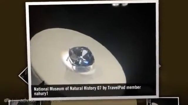 National Museum of Natural History - Washington DC, District of Columbia, United States смотреть онлайн