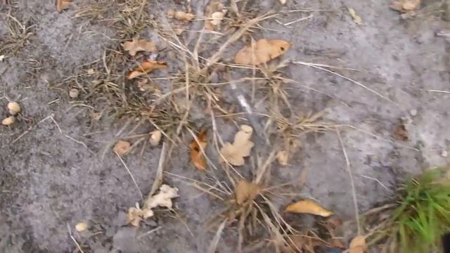 В поисках пропущенной монеты с мд Фортуна М смотреть онлайн