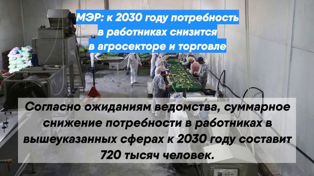 МЭР: к 2030 году потребность в работниках снизится в агросекторе и торговле
