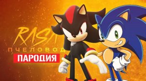 Песня Клип про СОНИКА И ШЕДОУ Rasa - Пчеловод ПАРОДИЯ / Sonic