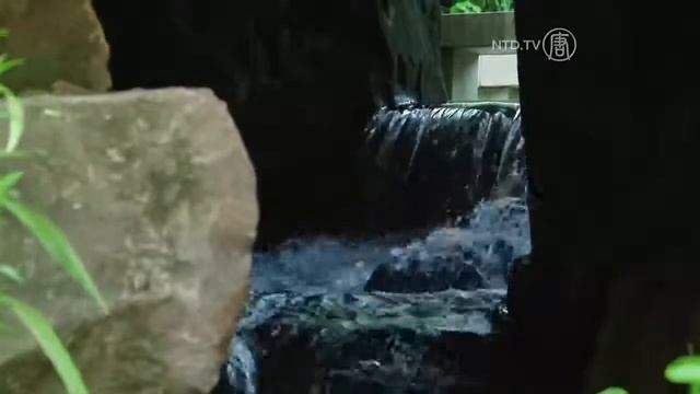 Персонажи из китайской истории — Да Мо смотреть онлайн