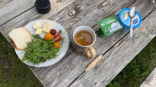 ВЛОГ: Обустраиваем дачу всей семьей! 03.08.23 смотреть онлайн