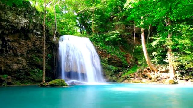 М.Шехтер " Женщине " читает Лариса Толмачёв смотреть онлайн