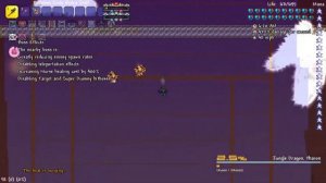 Yharon No Hit || Calamity Infernum Mod