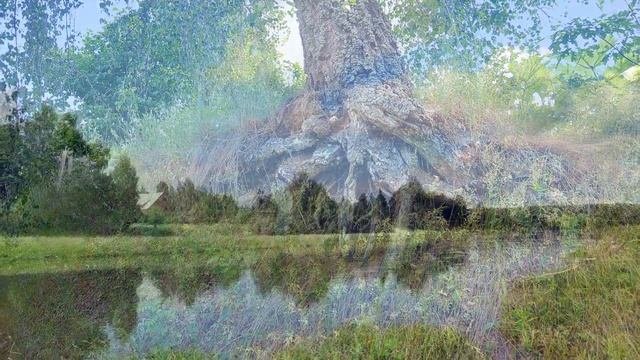 В окрестностях санатория Дорохово
