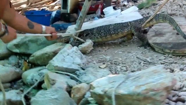 Экскурсия "Одиссея" в Паттайе смотреть онлайн