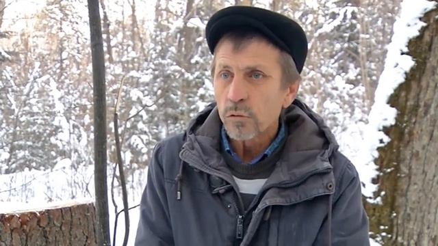 Вырубают кедры в Архаринском районе С смотреть онлайн