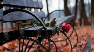 Александр Городницкий - Брусника. Исп. Ансамбль "Поет Санкт-Петербург"