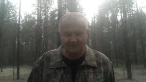 Про медвежьи повадки (часть 2)