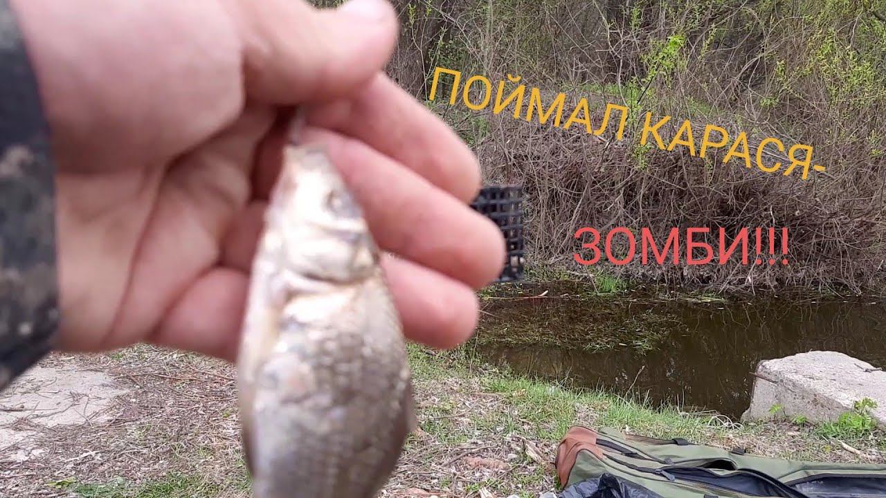 ПОЙМАЛ КАРАСЯ-ЗОМБИ!!! АПРЕЛЬСКАЯ РЫБАЛКА НА КАРАСЯ смотреть онлайн