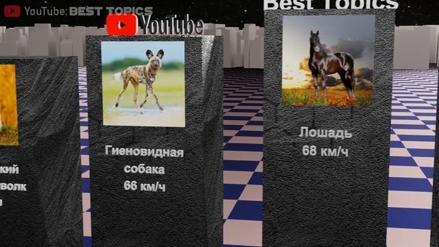 Самые Быстрые Наземные Животные | Сравнение смотреть онлайн