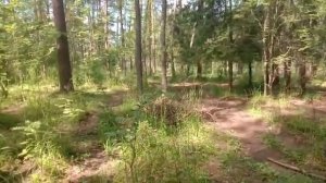 Работа поисковой собаки ПСС