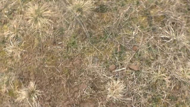 SUPERтерка end....Minelab E-Trac..? смотреть онлайн