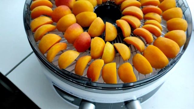 Сушилка для овощей и фруктов Великие реки Волга-9 смотреть онлайн