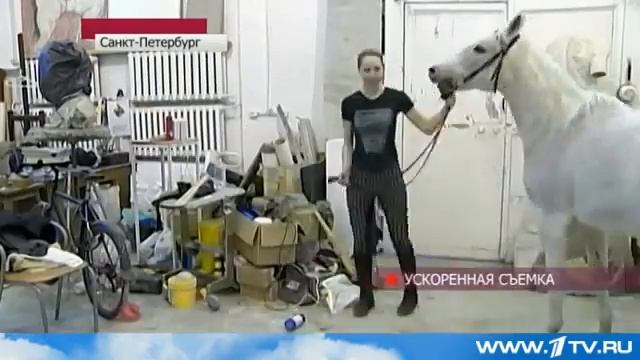 Необычные натурщицы работают в Академии художеств в Петербурге смотреть онлайн