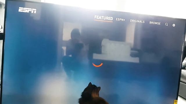 2022 Android TV That WORKS! New 75 " SANSUI 4K Studio TV Review & Unboxing смотреть онлайн