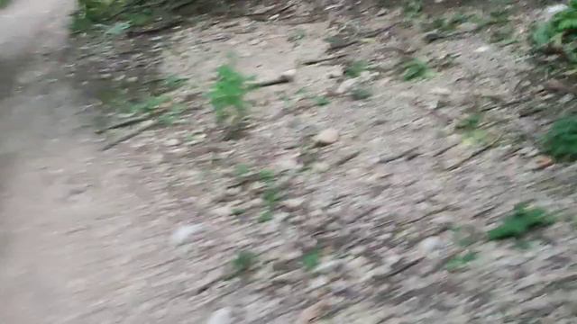 ЭКСТРЕМАЛЬНЫЙ ПОХОД К МОНАСТЫРЮ ЧЕЛЛЕНДЖ! смотреть онлайн