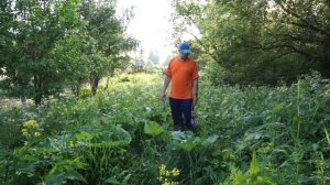 Триммер Greenworks GD40BC. Скашиваю бурьян леской на одном аккумуляторе