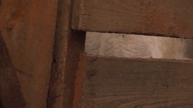 Как изгадить жизнь соседям? смотреть онлайн