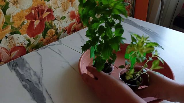 Эмоции на букву х с самого утра... И не подумайте, что хорошие)