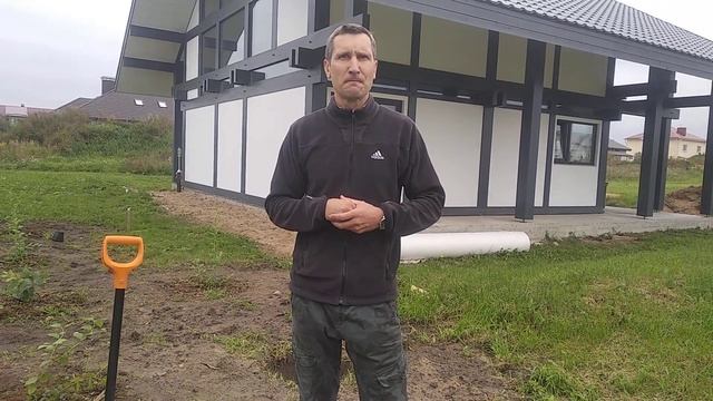 Выбираем сорта голубики для посадки. смотреть онлайн