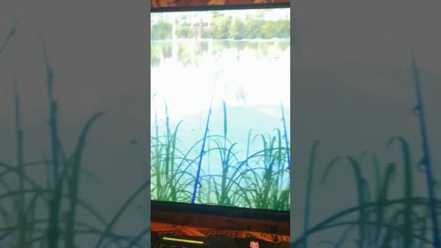 русская рыбалка 4 налим угорь рыбалка с другом и фанатом о старый острог смотреть онлайн